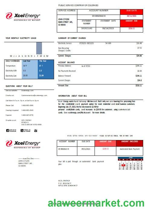 USA XcelEnergy electric utility bill Word and PDF formats